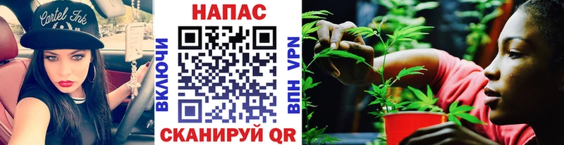 Где купить наркотики Городец Конопля  Галлюциногенные грибы  ГАШИШ  COCAIN  СОЛЬ 