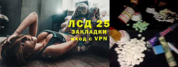 бошки Бородино