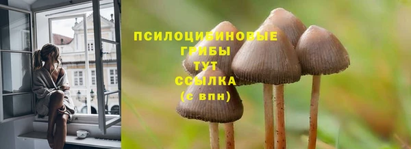 бошки Бородино