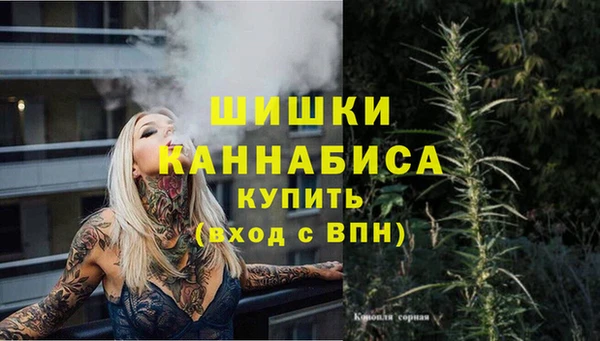 бошки Бородино