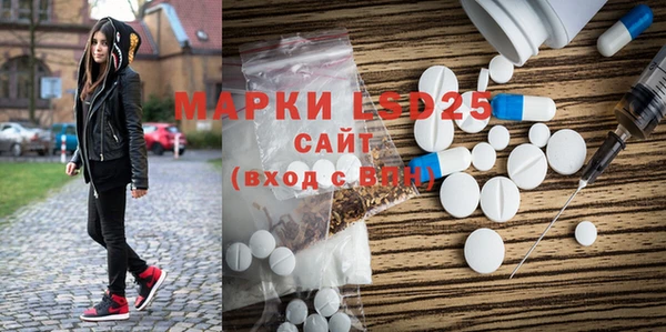 бошки Бородино