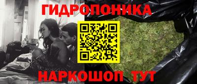прущие грибы Моздок
