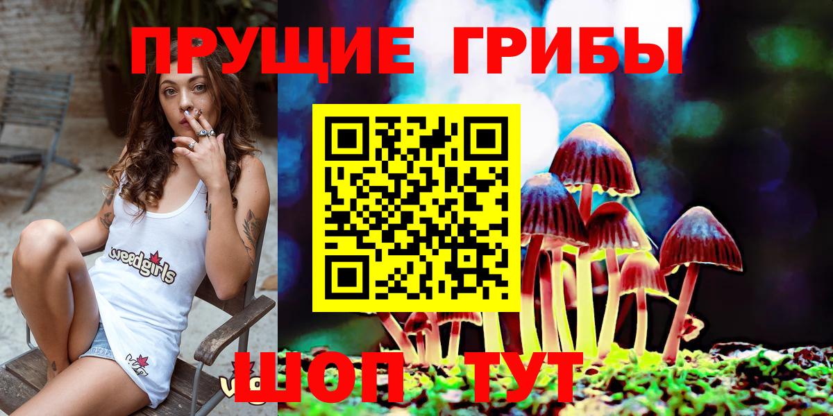 Галлюциногенные грибы GOLDEN TEACHER Городец