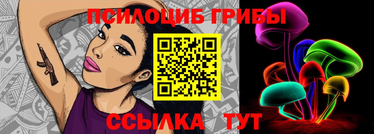 Городец  Галлюциногенные грибы Psilocybine cubensis  Вход с VPN  Псилоцибиновые грибы Magic Shrooms 
